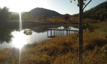 Imagem 2: Fazenda para venda possui 59 alq. munícipio de Fazenda Nova/GO