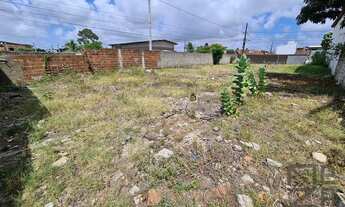 Imagem 5: Terreno para Venda em Cabedelo, Loteamento Parque Esperanca