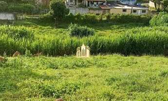 Imagem 6: Lote em Novo Retiro - Esmeraldas