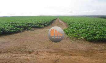 Imagem: Fazenda à venda, 1.650 hectares por R$