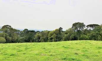 Imagem 4: Recanto na montanha com Container em Urubici