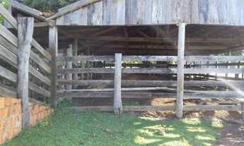 Imagem 3: Fazenda mirassol ( mirassol do oeste