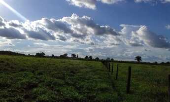 Imagem 5: Fazenda mirassol ( mirassol do oeste
