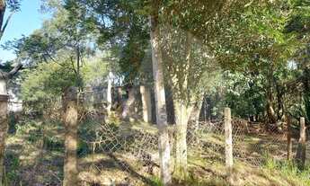 Imagem 7: Viamão - Terreno Padrão - Viamópolis