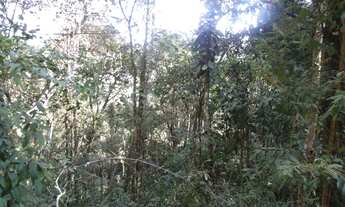 Imagem 5: Nova Lima - Loteamento/Condomínio - Pasárgada