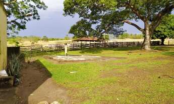 Imagem 7: Fazenda - Professor Jamil (GO