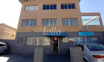 Imagem 7: São Paulo - Apartamento Padrão - Tremembé