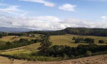 Imagem 4: MariporãLand: Seu Sonho no Verde!&quot