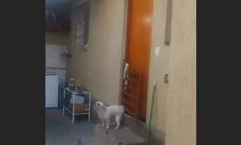 Imagem 3: Casa Casa com 1 dormitório