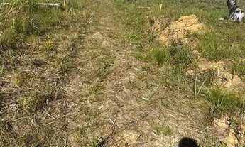 Imagem: Lote/Terreno para venda tem 1000 metros