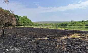 Imagem 5: Chácara em Miracema. 300mil