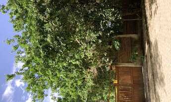 Imagem 5: Casa documentada, com amplo terreno, em rua calçada muito bem localizada