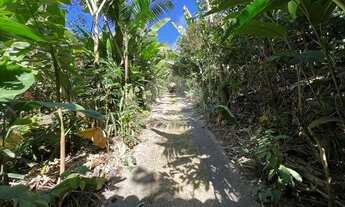 Imagem 4: Cond Granja Viana II - Espaçosa, iluminada, rodeada p/ jardim agroflorestal