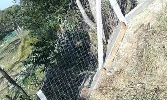 Imagem 4: Vende-se Casa com 1 dormitório