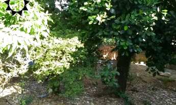 Imagem 2: TERRENO BARUERI Terreno / lote com venda por R$480.000