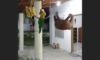 Imagem 6: Alugo casa em Paracuru