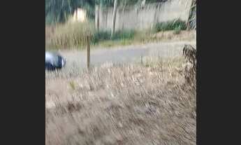 Imagem 2: Meio lote no centro de juatuba