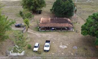 Imagem 3: Fazenda/Sítio/Chácara para venda possui 4356 metros quadrados