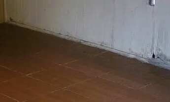 Imagem 5: Aluga se está casa fone