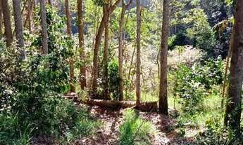 Imagem 4: Sítio de 8,5 alqueires em Paraibuna - SP