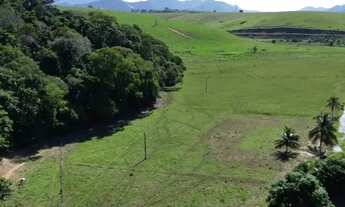 Imagem 3: Sitio a 1 km da BR trevo de Alfredo chaves tudo baixa 5 mil pé de café novos 2.8 alqures