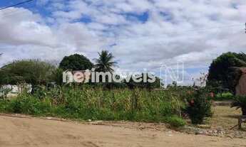 Imagem 7: Venda Lote-Área-Terreno Santo Antônio dos Prazeres Feira de Santana