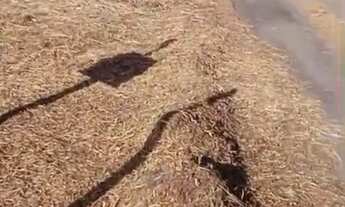 Imagem 2: Oportunidade Lote 12x30 Trevo do Francês!!!