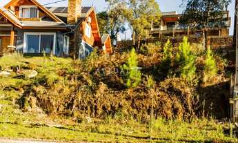 Imagem 4: EXCELENTE TERRENO PARA SUA CASA NA SERRA!