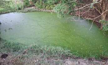 Imagem 6: Sítio para Venda em Palmeira dos Índios, Palmeira de Fora, 3 dormitórios, 1 suíte, 1 banhe