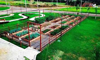 Imagem 5: Imóvel para venda com 1000 metros quadrados em Área Rural de Trindade - Trindade - GO