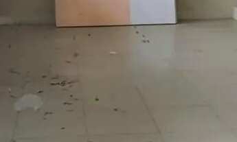 Imagem 2: Imóvel para venda tem 444 metros quadrados com 4 quartos em Setor Sudoeste - Goiânia - GO