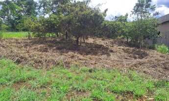 Imagem 2: Lote no condomínio quatro estações