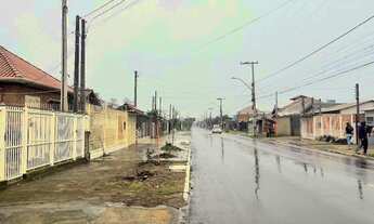 Imagem 5: FBDG 1331 Lote CV1331