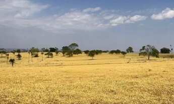 Imagem 7: Fazenda à venda 47 alq de cultura em Itauçu-GO