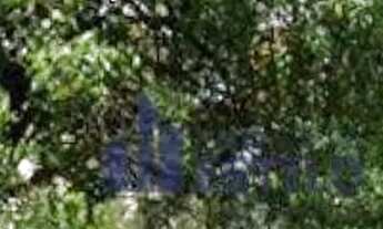 Imagem: Terreno à venda, 702 m² por R$ 1.200.000,00