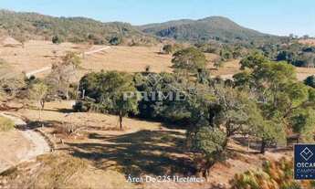Imagem 6: Fazenda à Venda com cachoeira, próximo ao Município de Caldas Novas- GO