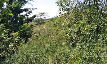 Imagem 2: Lote no Bairro Oriente Pinheiral. i