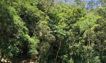 Imagem 4: Sitio 26.700 m² em Mogi das Cruzes