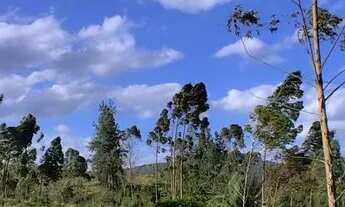 Imagem 5: Chácara,casa, açudes, frutíferas, excelente localização