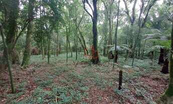 Imagem 5: Terreno à Venda em Canela!