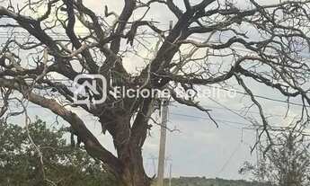 Imagem 3: Venda Terreno SETOR CHÁCARAS