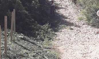 Imagem 5: Chácara em Almirante Tamandaré