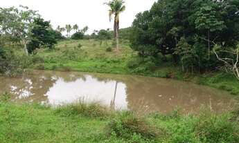 Imagem: Sítio com 29 tarefas no município de Itaporanga