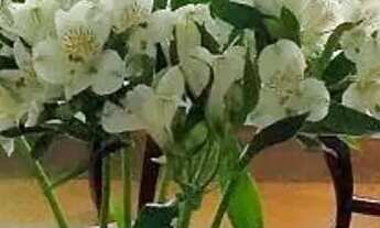 Imagem 6: CASA EM CONDOMÍNIO - ALPHAVILLE - SP