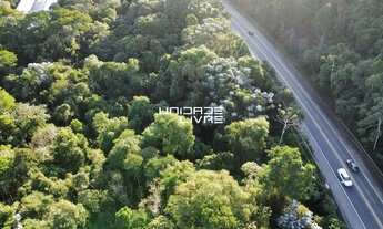 Imagem 5: Área Rural com 20.000,00m² em frente a Rodovia em Mogi das Cruzes - SP