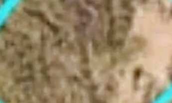 Imagem 3: Terreno à venda, Parque Residencial Tropical Ville, próximo ao Cond. Villa Jardim, Cuiabá