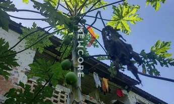 Imagem 7: Sobrado em avenida principal - rocha - Adrianópolis/PR