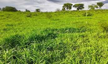 Imagem 4: Chácaras de 20mil mt em maripotaba última unidade!