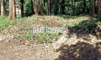 Imagem 7: Próximo a Casa da Fazenda 2.675,0m²