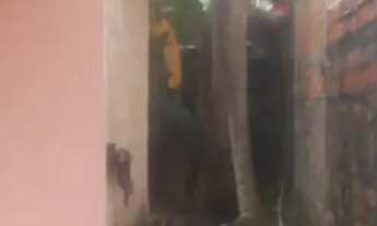 Imagem 2: CASA PARA ALUGAR R$550 REAIS